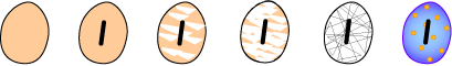 demonstration of eggs